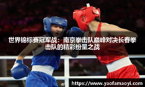 世界锦标赛冠军战：南京拳击队巅峰对决长春拳击队的精彩纷呈之战